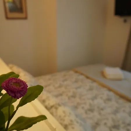 Steps From The Vatican Gasthof 4*